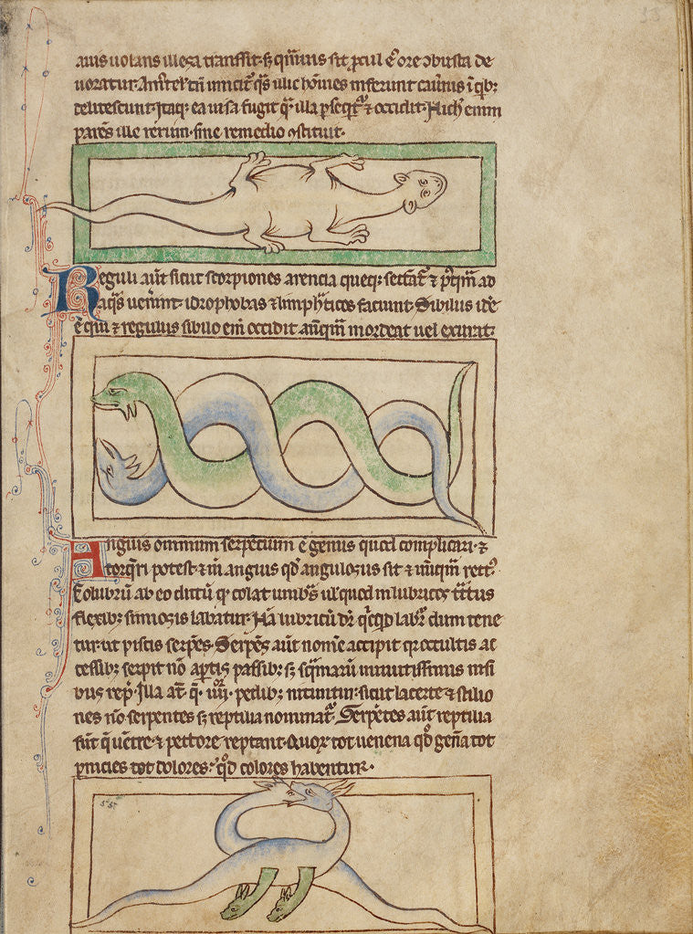 Detail of A Basilisk, Snakes, Vipers by Anonymous