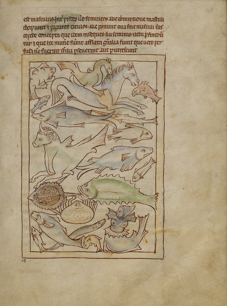 Detail of Fish and Sea Monsters by Anonymous