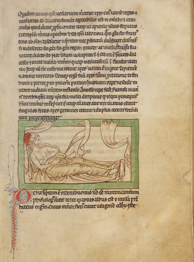 Detail of A Caladrius by Anonymous