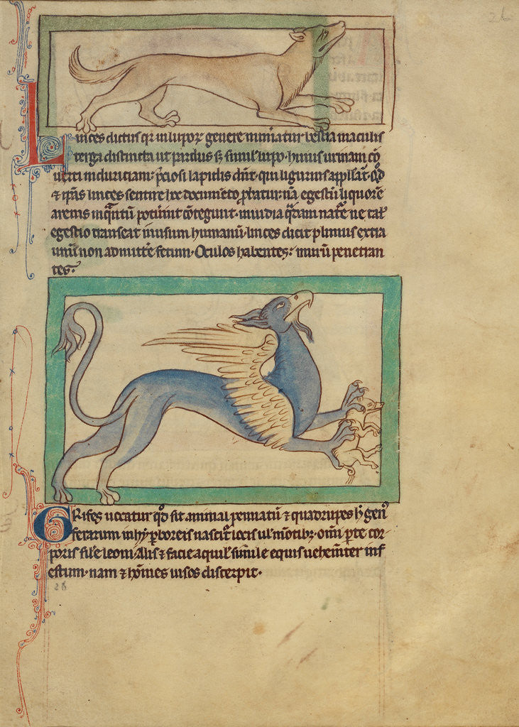 Detail of A Lynx, A Griffin by Anonymous