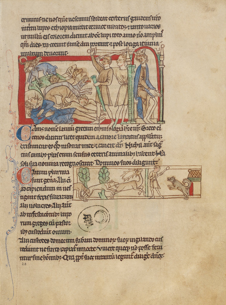 Detail of Dogs by Anonymous