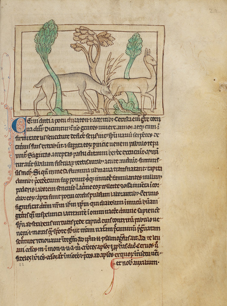 Detail of Deer by Anonymous