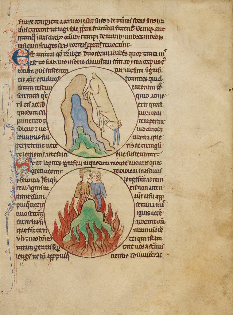 Detail of An Ibex, Fire Stones by Anonymous