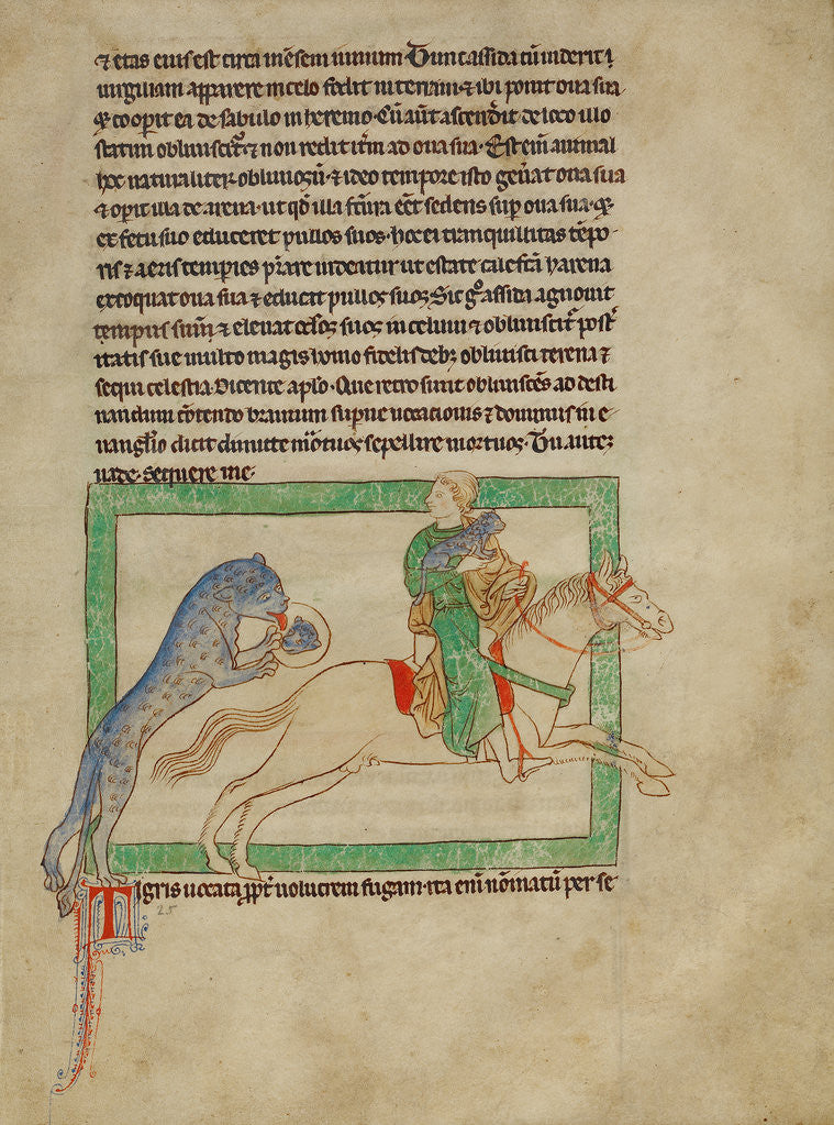 Detail of A Tiger by Anonymous