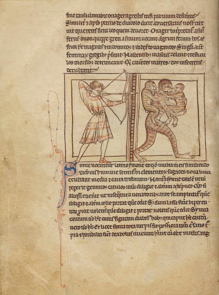 Detail of Apes by Anonymous