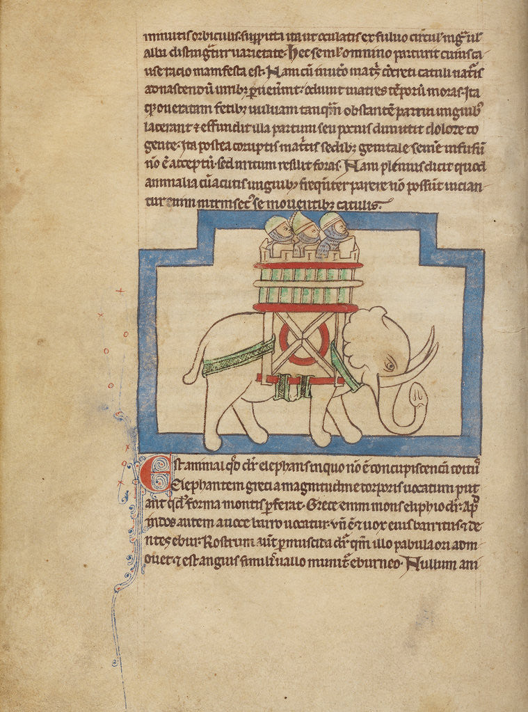 Detail of An Elephant by Anonymous