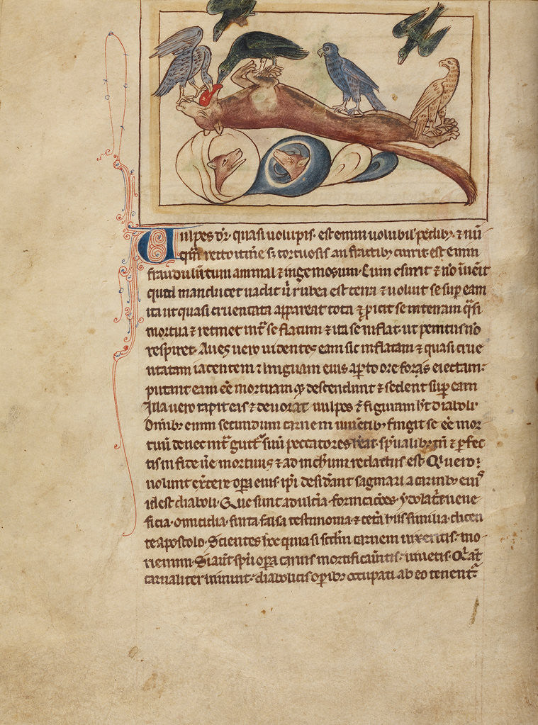 Detail of Foxes by Anonymous