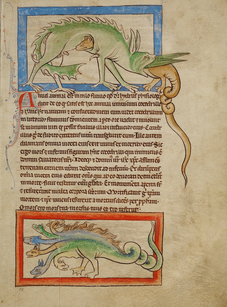 Detail of A Hydrus, A Hydra by Anonymous