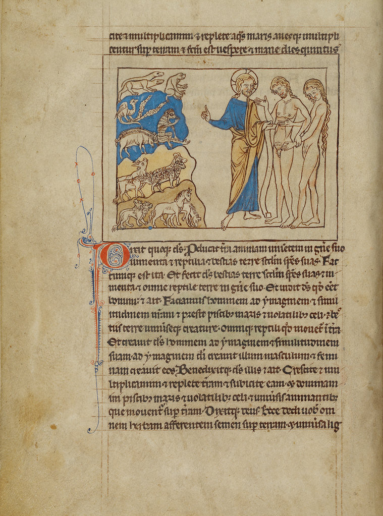 Detail of The Creation of the Animals and of Adam and Eve by Anonymous