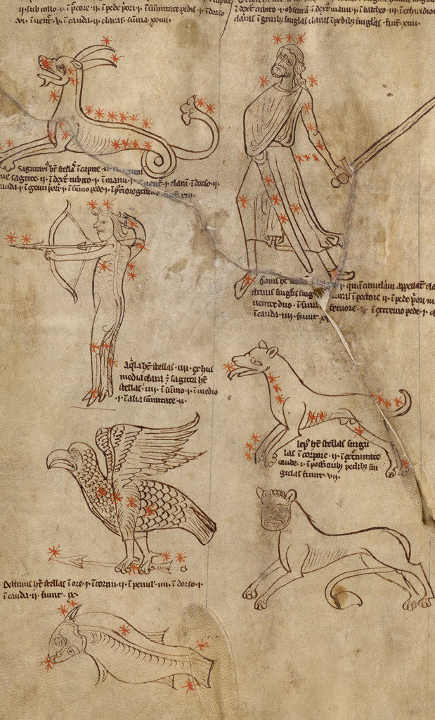 Detail of Constellation Diagrams by Anonymous