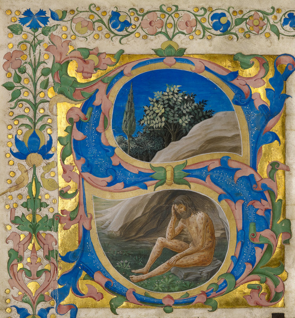 Detail of Initial S: Job by Francesco di Antonio del Chierico