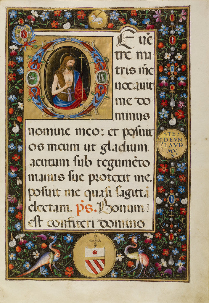 Detail of Initial D: Saint John the Baptist by Matteo da Milano