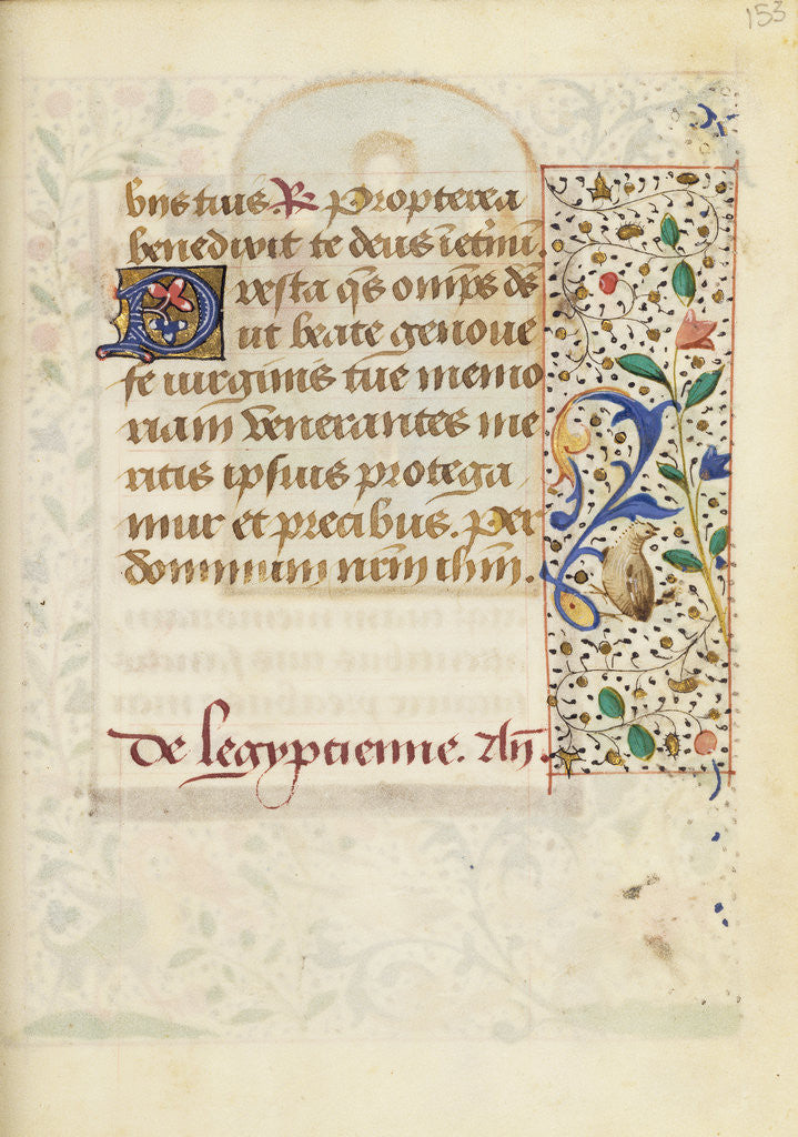 Detail of Decorated Text Page by Anonymous