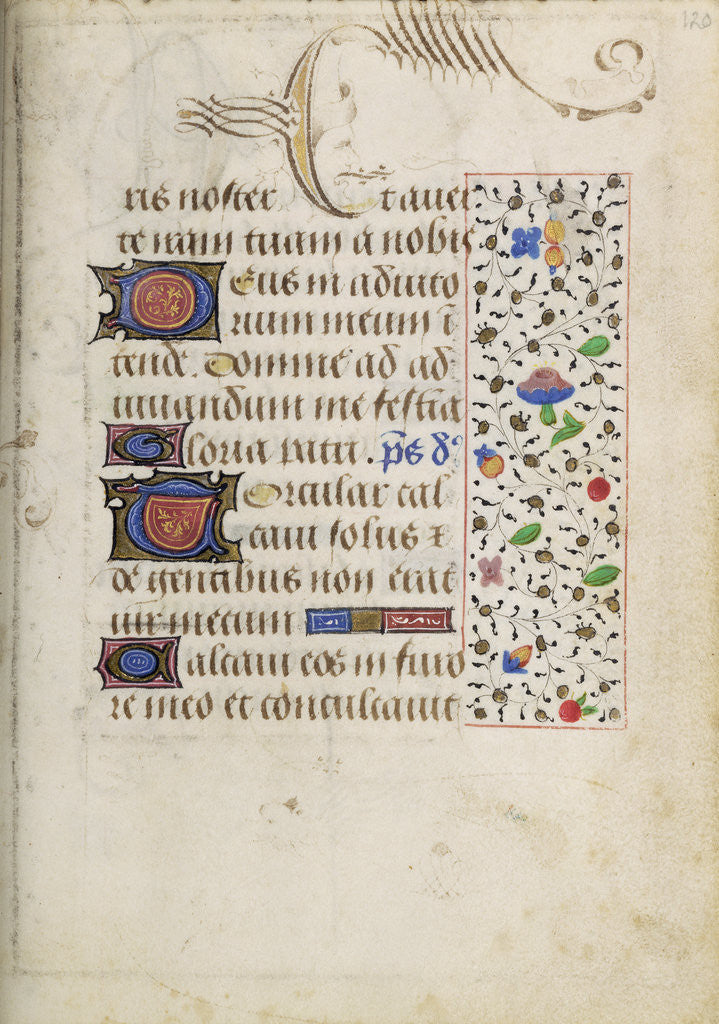 Detail of Decorated Text Page by Nicolas Spierinc