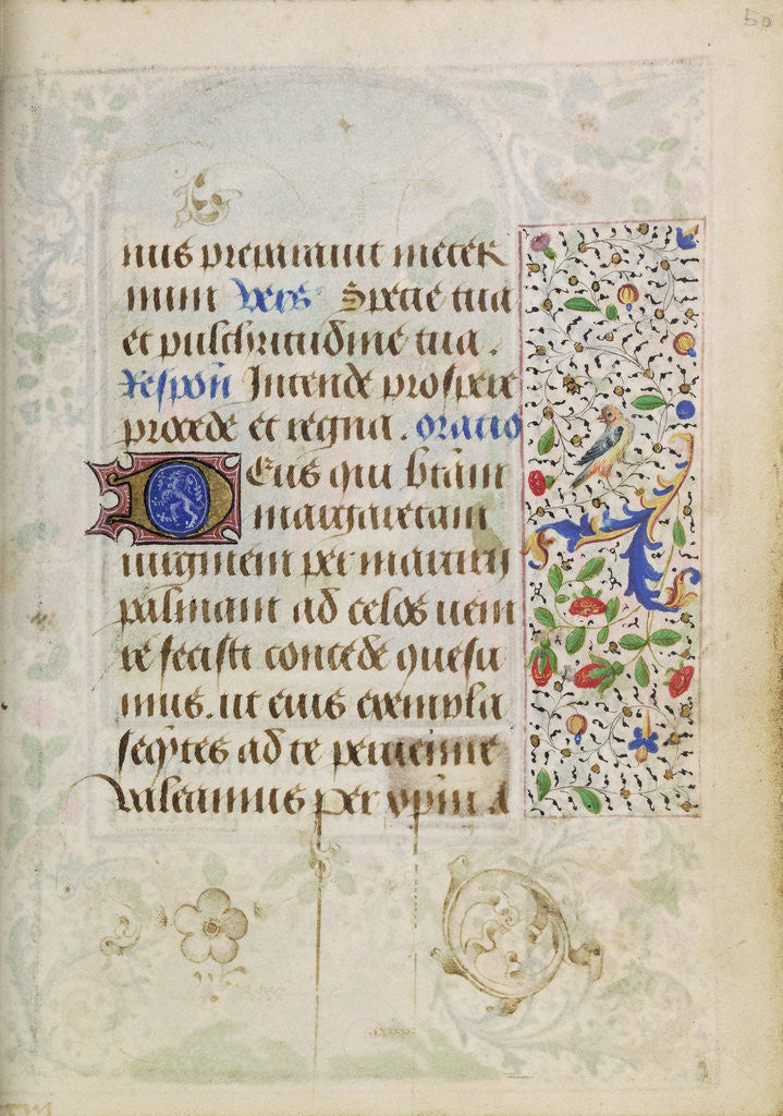 Detail of Decorated Text Page by Nicolas Spierinc