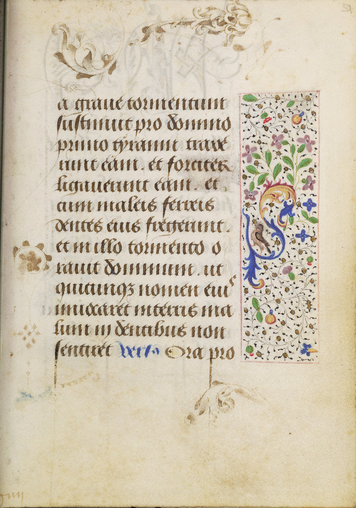 Detail of Decorated Text Page by Nicolas Spierinc