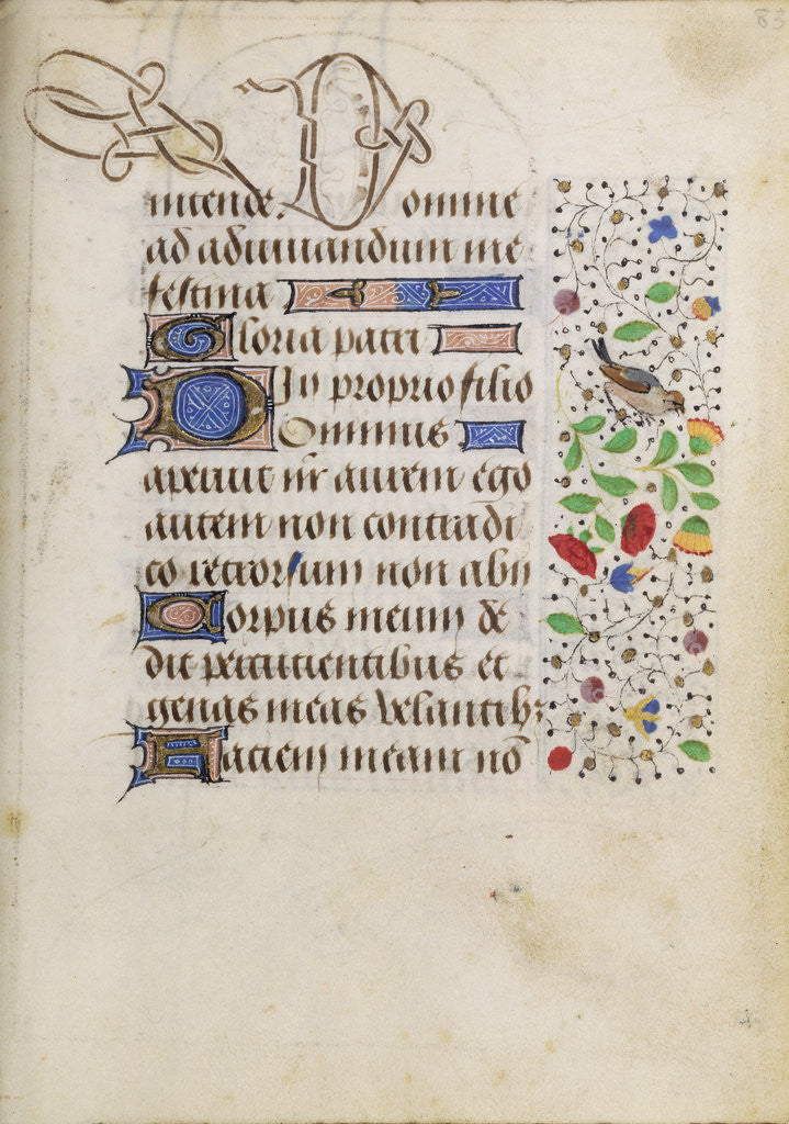 Detail of Decorated Text Page by Nicolas Spierinc