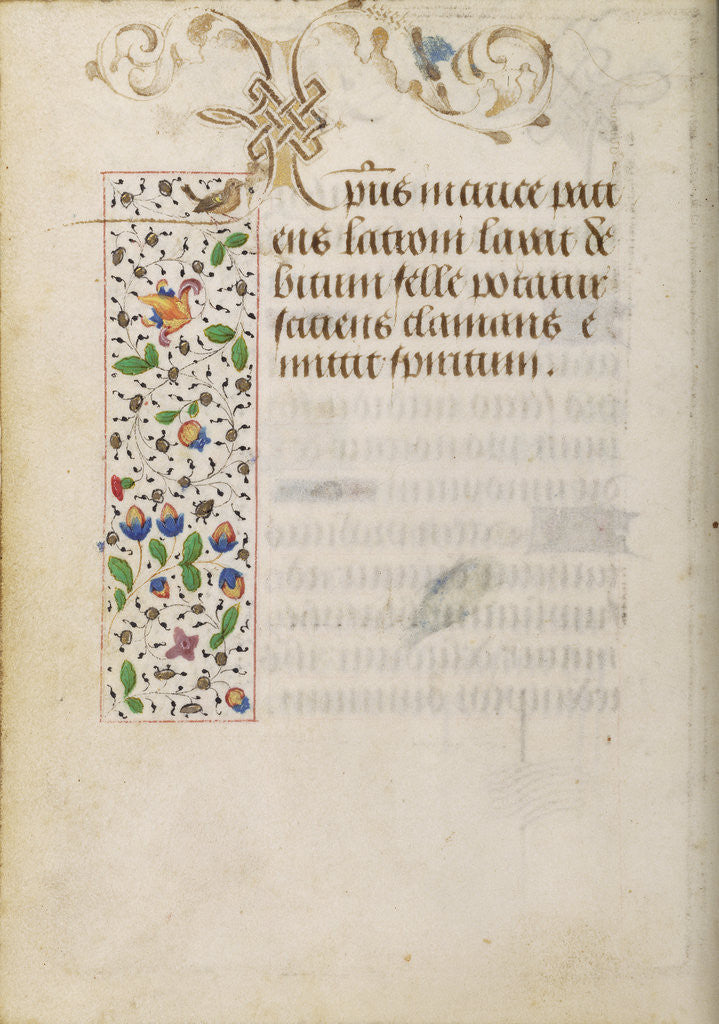 Detail of Decorated Text Page by Nicolas Spierinc