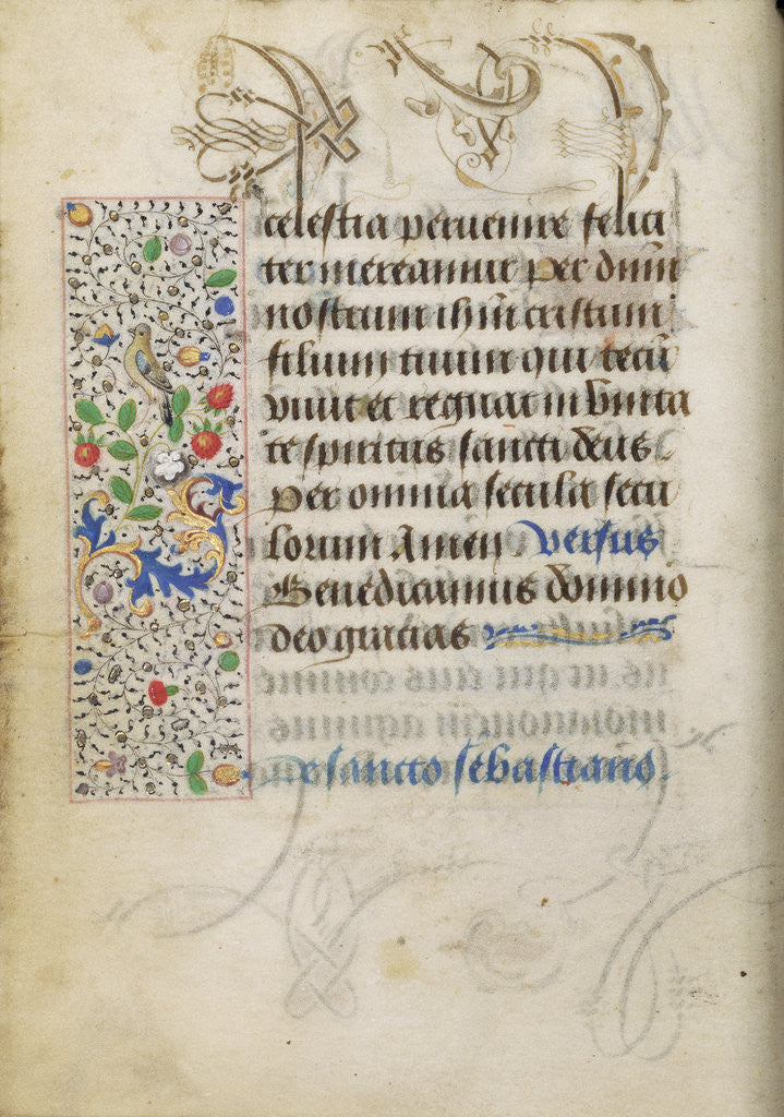 Detail of Decorated Text Page by Nicolas Spierinc