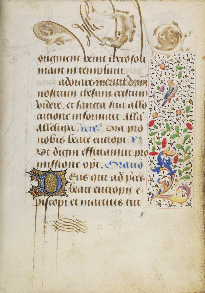 Detail of Decorated Text Page by Nicolas Spierinc