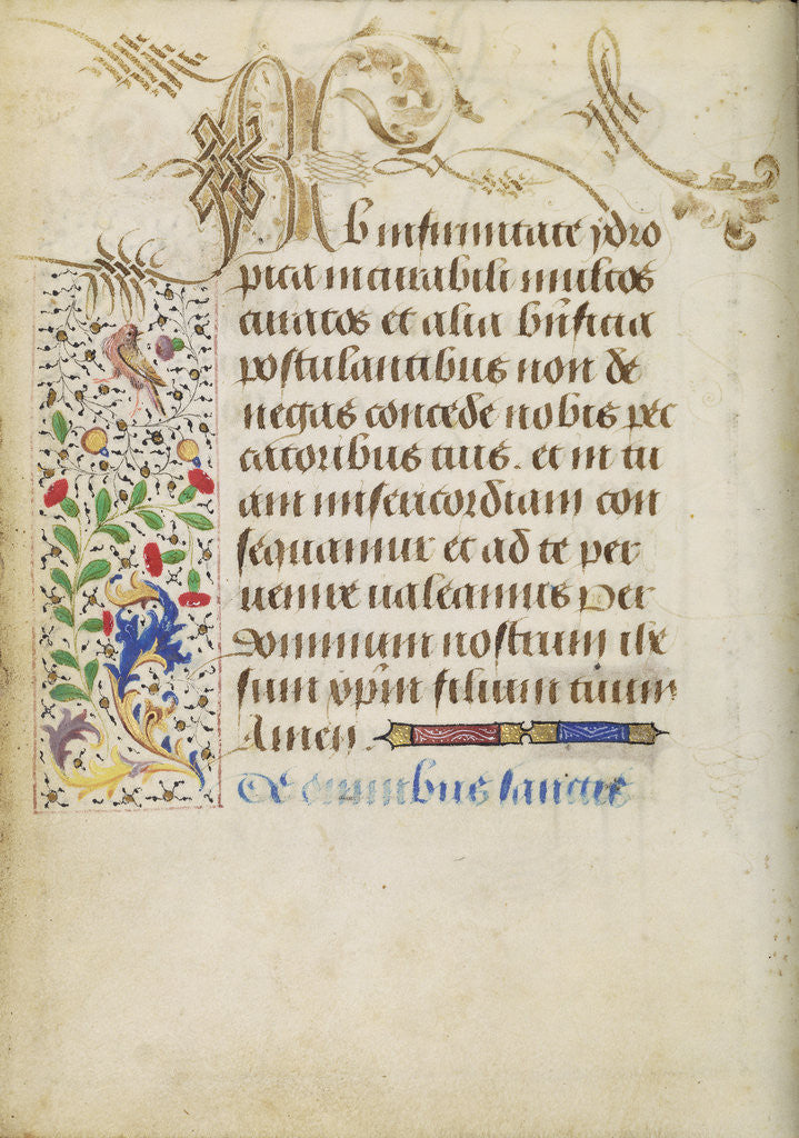 Detail of Decorated Text Page by Nicolas Spierinc