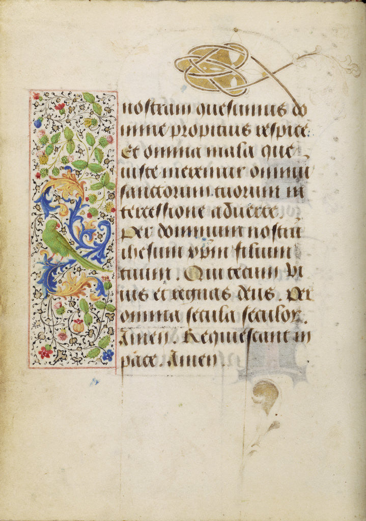 Detail of Decorated Text Page by Nicolas Spierinc