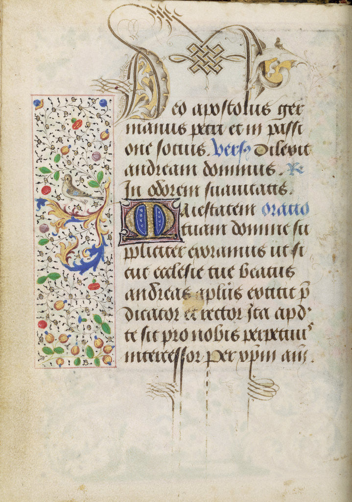 Detail of Decorated Text Page by Nicolas Spierinc