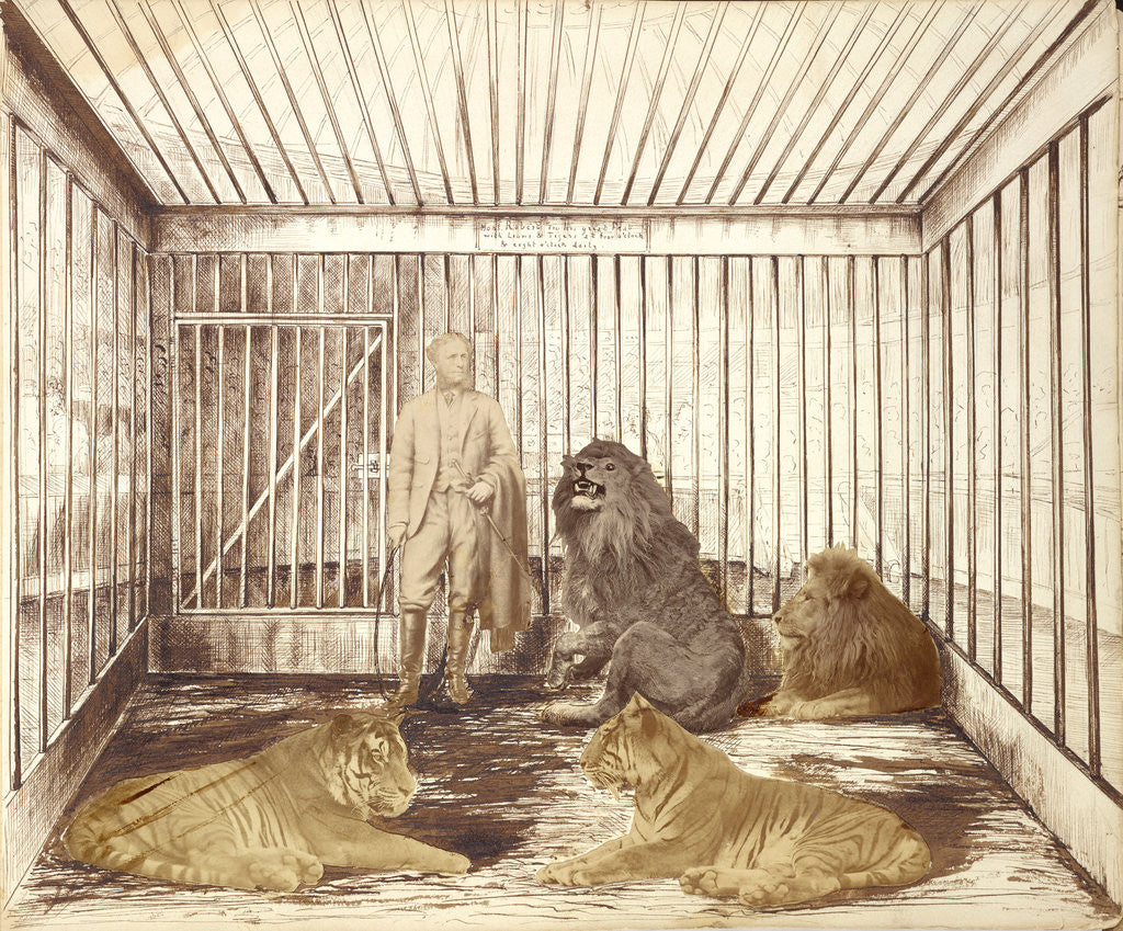 Detail of Portrait of a Man with Lions by Anonymous