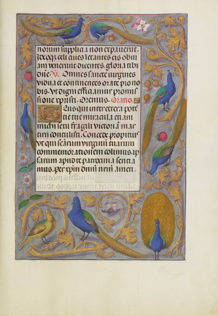 Detail of Decorated Text Page by Anonymous