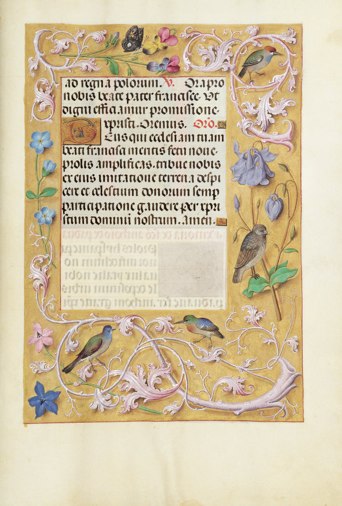 Detail of Decorated Text Page by Anonymous