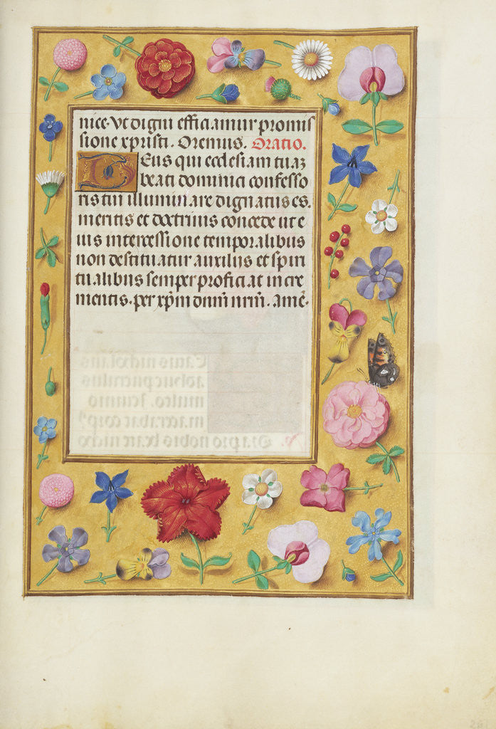 Detail of Decorated Text Page by Anonymous