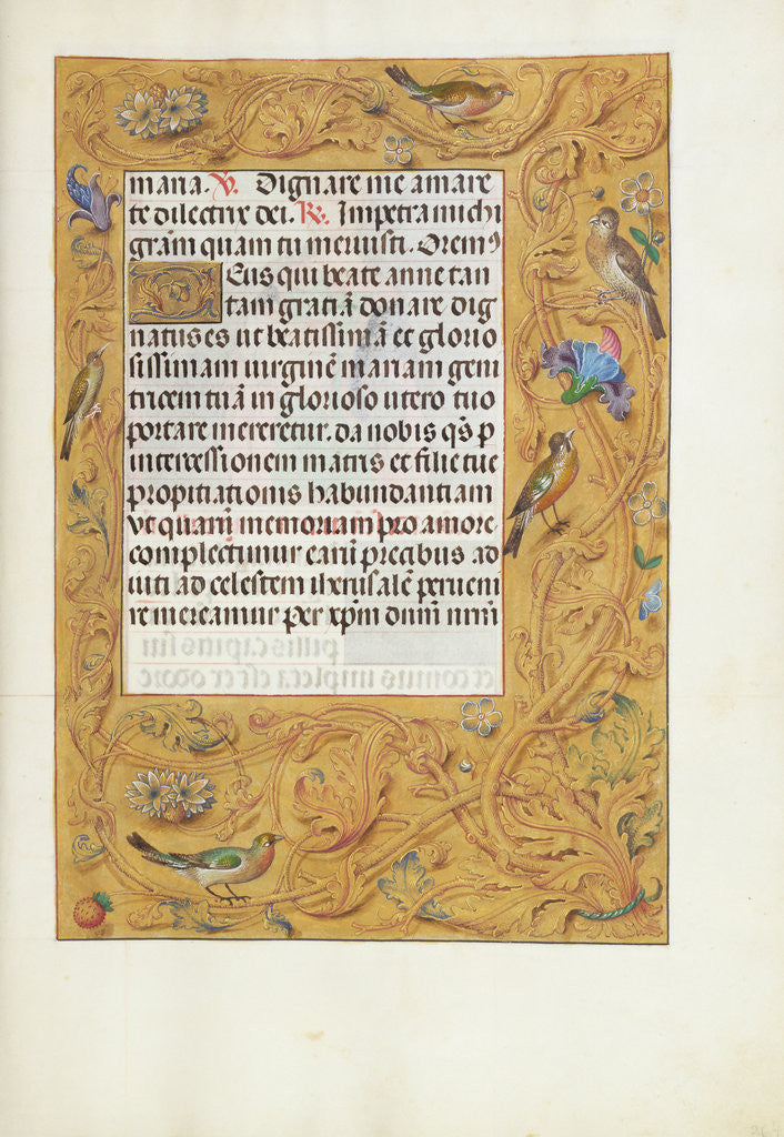 Detail of Decorated Text Page by Anonymous