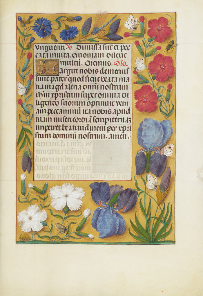 Detail of Decorated Text Page by Anonymous
