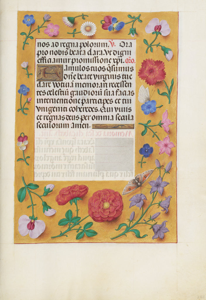 Detail of Decorated Text Page by Anonymous