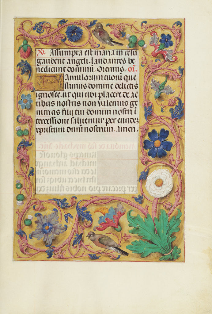 Detail of Decorated Text Page by Anonymous