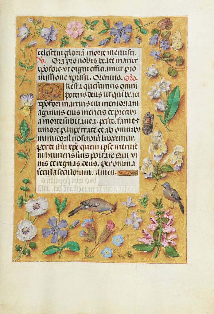 Detail of Decorated Text Page by Anonymous