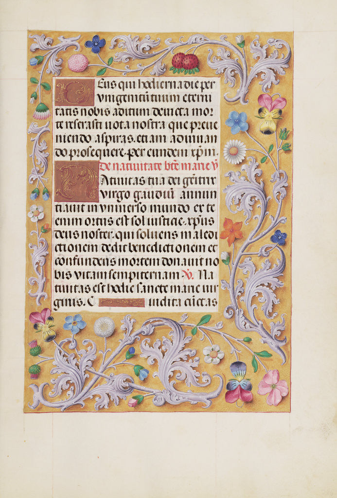 Detail of Decorated Text Page by Anonymous