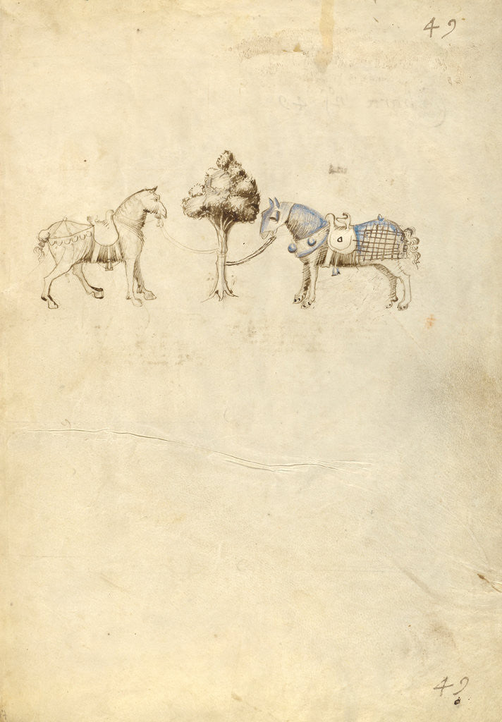 Detail of Two Horses by Fiore Furlan dei Liberi da Premariacco