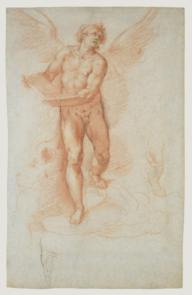 Detail of An Angel Holding a Book (recto), Three Studies of a Falling Male Figure (verso) by Cristoforo Roncalli
