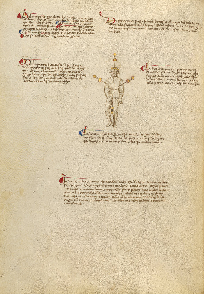 Detail of Aiming Points on the Body by Fiore Furlan dei Liberi da Premariacco