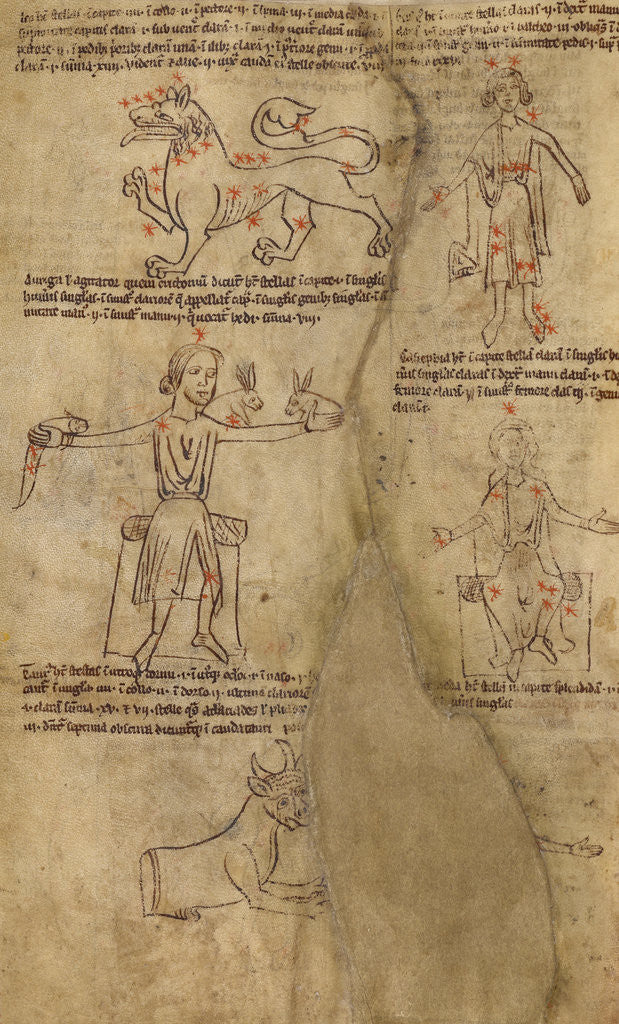 Detail of Constellation Diagrams by Anonymous