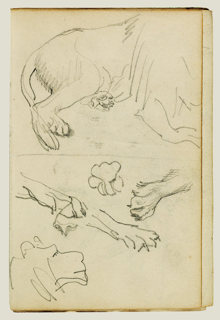 Detail of Various studies of lion leg, paws and head by Théodore Géricault