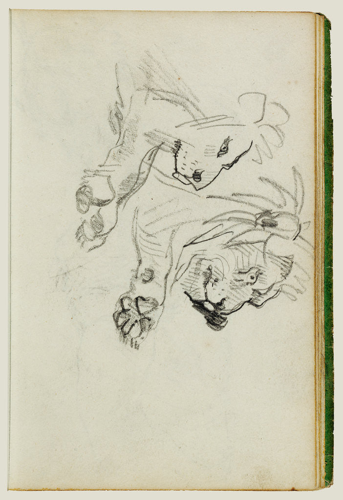 Detail of Two lion studies by Théodore Géricault