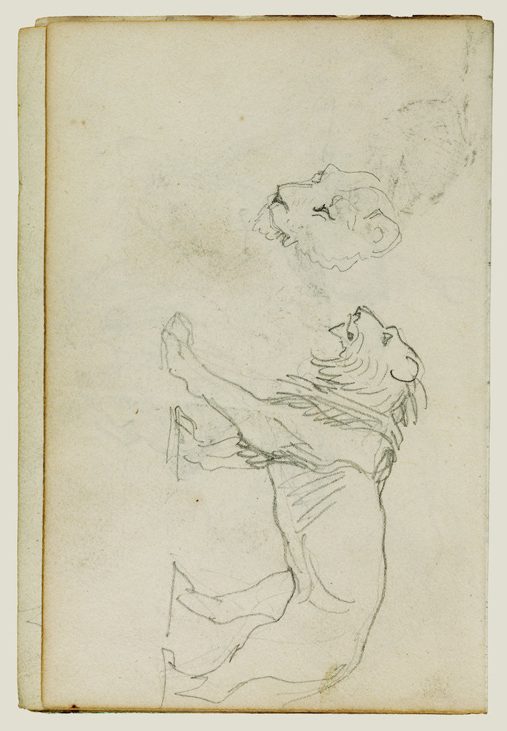 Detail of Lion walking, head of a lioness by Théodore Géricault