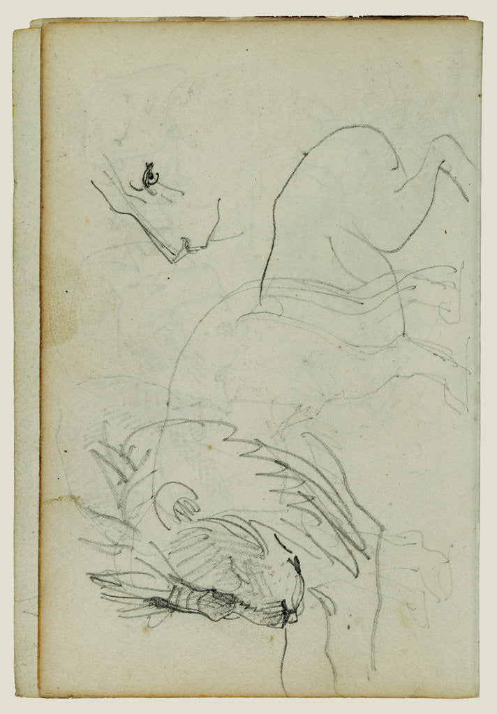 Detail of Lion studies by Théodore Géricault