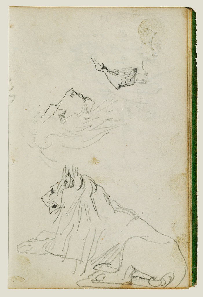 Detail of Seated lion, two lion head studies by Théodore Géricault