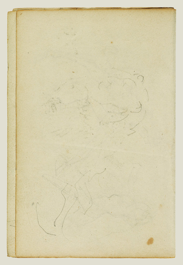 Detail of Sketches of head and hind legs of a lion by Théodore Géricault