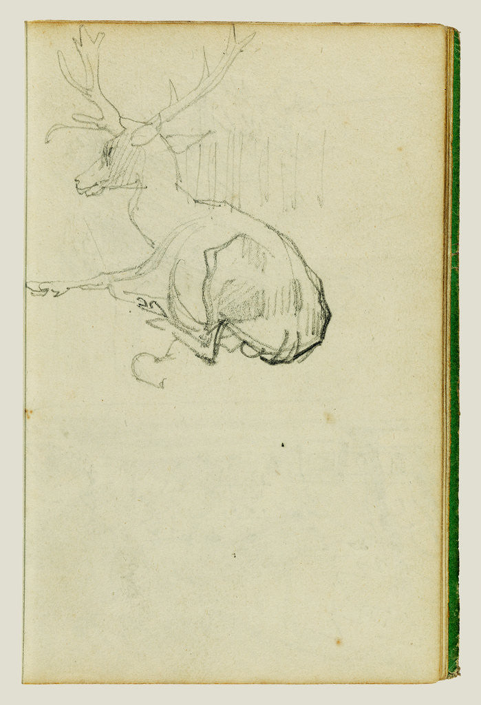 Detail of Seated Stag by Théodore Géricault