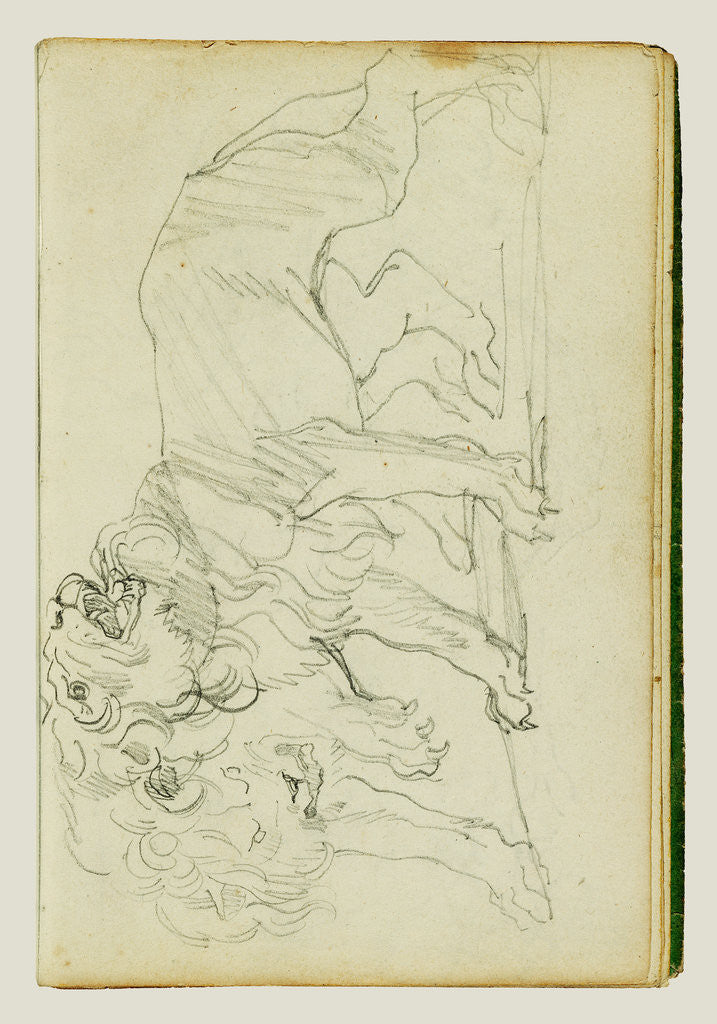 Detail of Pair of lions by Théodore Géricault