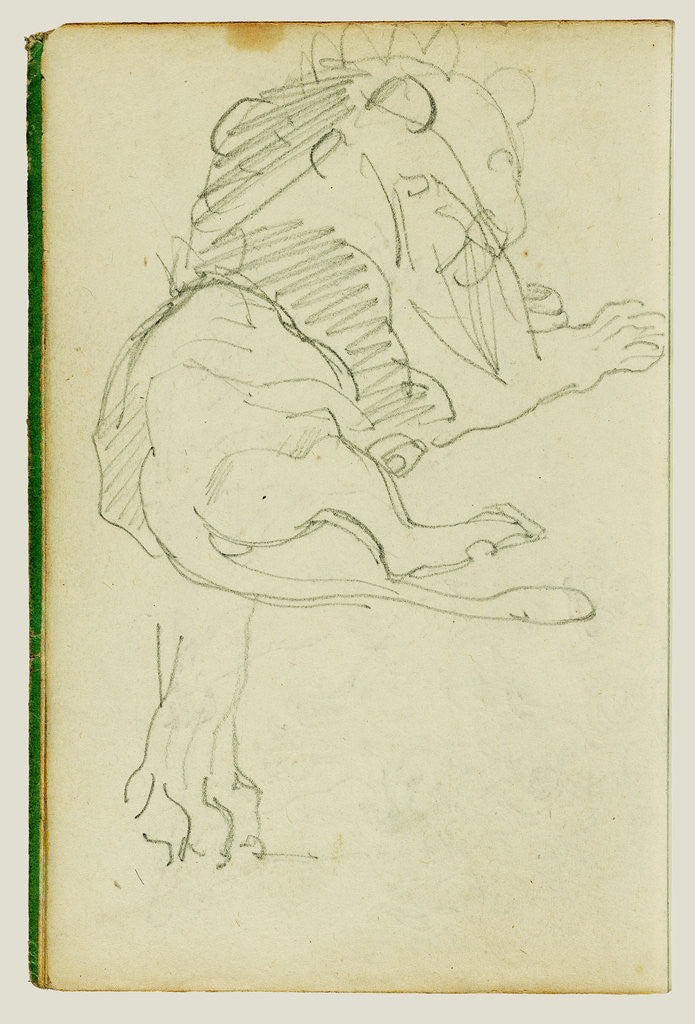 Detail of Seated lion by Théodore Géricault